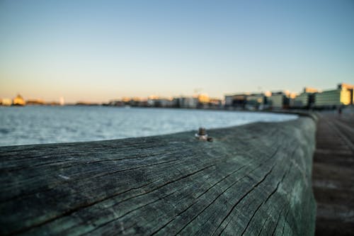 春天的蘆笛抒情詩歌