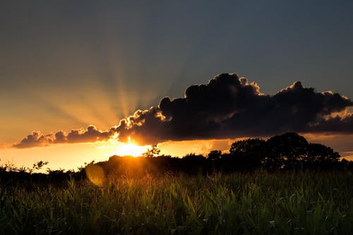 往傷口撒一把鹽美文