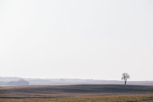現(xiàn)代詩歌：守候,你的,我的,我們的