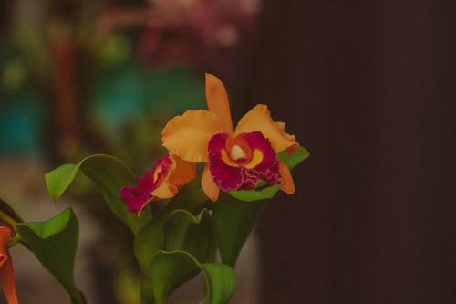 關(guān)于高中周記青春勵(lì)志4篇