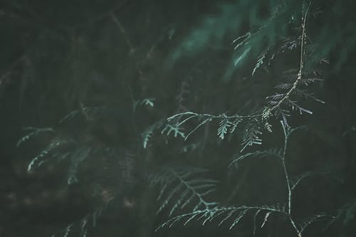 【推薦】哲理人生作文11篇