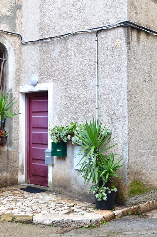 《聞官軍收河南河北》詩歌鑒賞