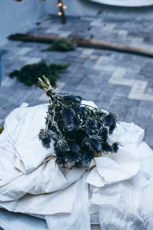 游褒禪山記原文及譯文2篇 游褒禪山記原文及譯文2篇