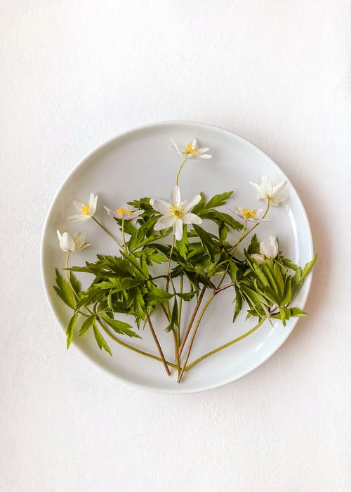 母親節(jié)經(jīng)典詩歌朗誦稿 母親節(jié)經(jīng)典詩歌朗誦稿