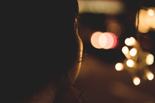 【精華】動物日記范文錦集7篇 【精華】動物日記范文錦集7篇