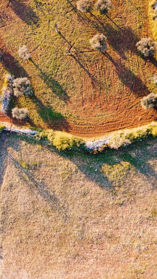 玄幻我的手下全是正道大佬小說(shuō)主角云天河在線閱讀 玄幻我的手下全是正道大佬小說(shuō)主角云天河在線閱讀
