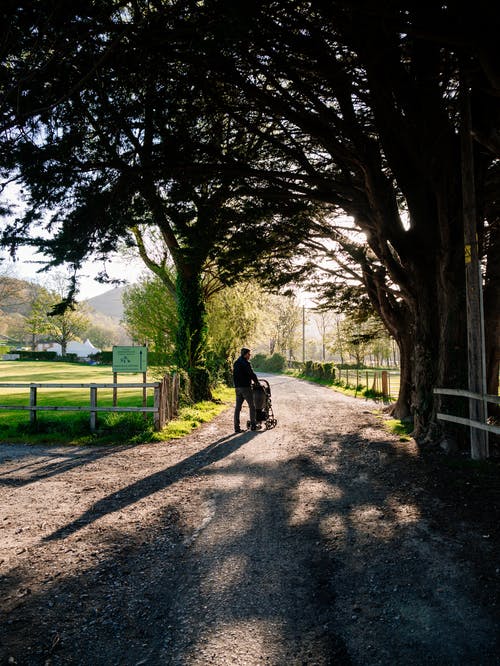 文言文翻譯十大失分點(diǎn)（四）語言不合規(guī)范