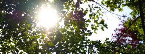 電影與青春有關(guān)的日子經(jīng)典臺詞 電影與青春有關(guān)的日子經(jīng)典臺詞