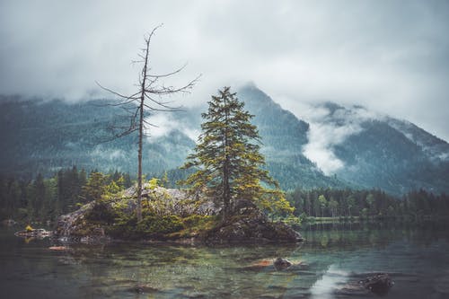 兵王閻羅殿小說林天王子月在線閱讀