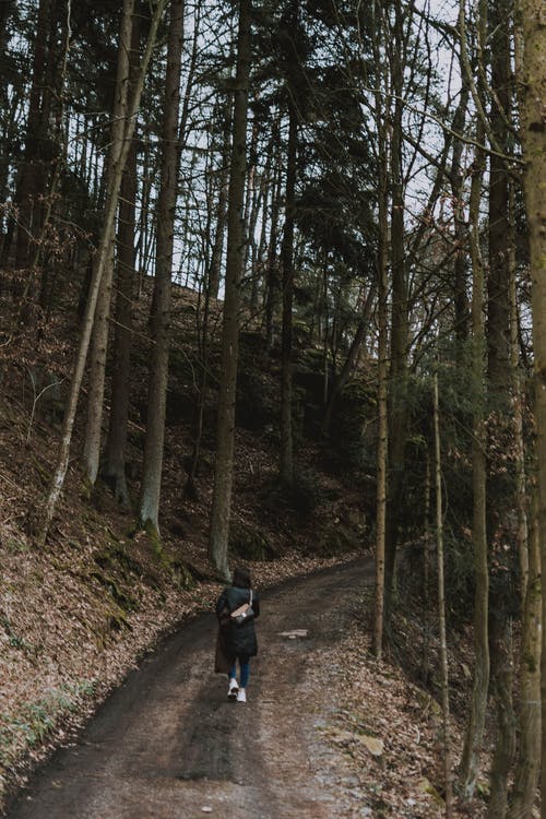 滿江紅·寫懷原文、翻譯及賞析