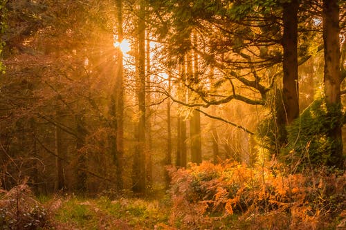 穿越被卡住小說(shuō)修仙林沖老師傅全書(shū)閱讀