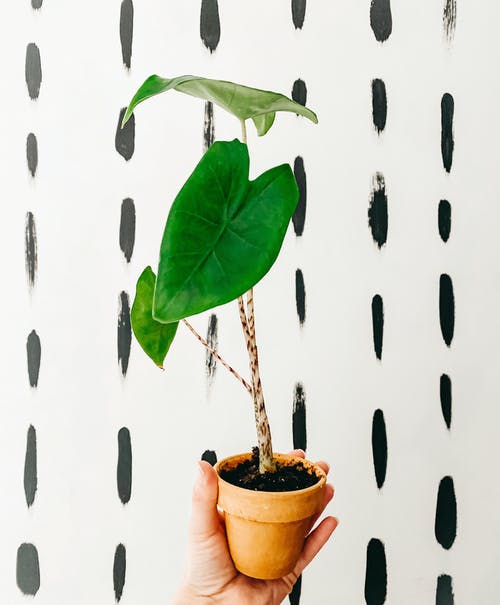 看中你兜里那點(diǎn)自己都不夠用的利稅美文