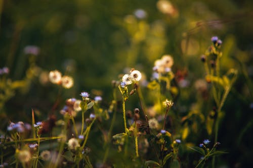 溫馨驚蟄祝福語大合集24條 溫馨驚蟄祝福語大合集24條