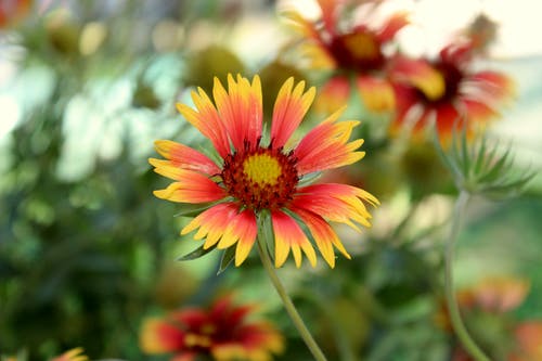 共享自信，是一種力量，亦是一種態(tài)度美文