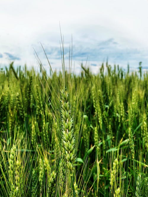 重生無上帝君小說主角云林完整版閱讀 重生無上帝君小說主角云林完整版閱讀