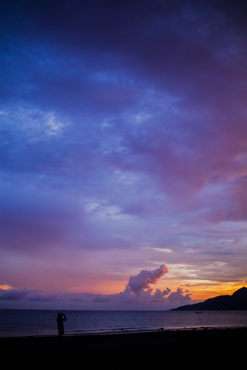 忠犬八公經(jīng)典臺詞 忠犬八公經(jīng)典臺詞