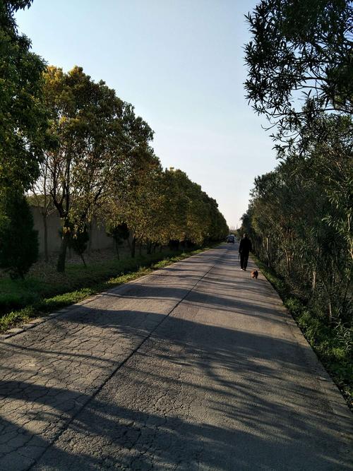 No.071 城市才是農(nóng)村人的天堂