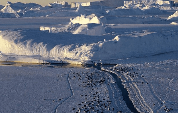 朋友圈關(guān)于單身的經(jīng)典說說(70條) 朋友圈關(guān)于單身的經(jīng)典說說(70條)