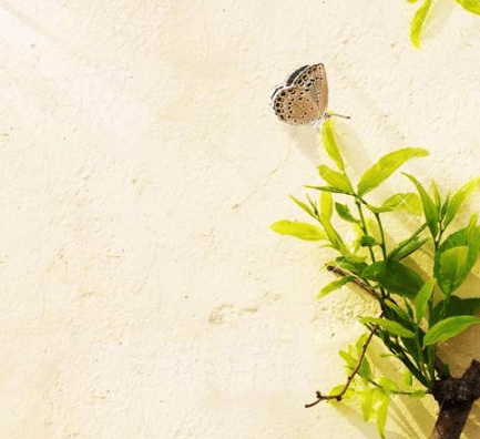 qq空間勵志的經(jīng)典說說（50條）