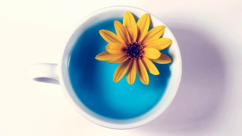 不想再偽裝自己的經(jīng)典說說（56條）