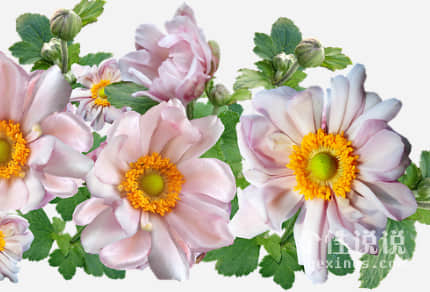 第一次做母親的心情說說 適合發(fā)朋友圈的句子 （37條）