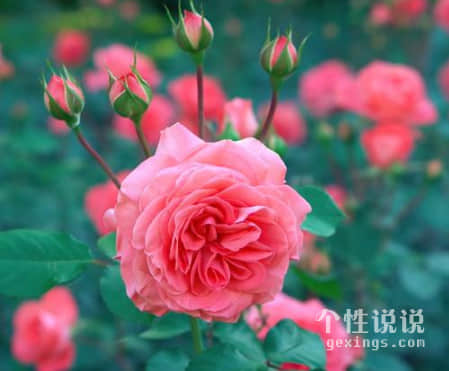 觸動(dòng)心弦簡單的經(jīng)典說說（54條）