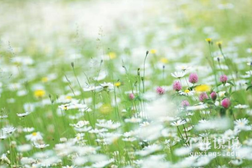 適合母親節(jié)發(fā)朋友圈的經(jīng)典說說(59條) 適合母親節(jié)發(fā)朋友圈的經(jīng)典說說(59條)