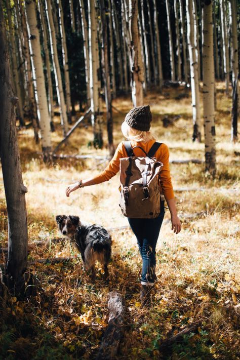 朋友圈一句熱門經(jīng)典的話夜還很長，余生也是