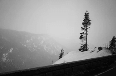 一個(gè)人忍受孤獨(dú)的傷感說說 qq說說傷感大全