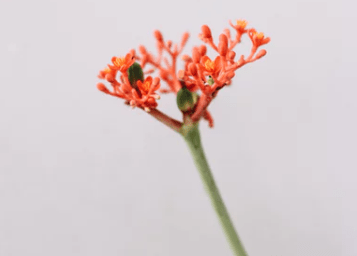 qq傷感說(shuō)說(shuō)寫給心累的自己(15句) qq傷感說(shuō)說(shuō)寫給心累的自己(15句)