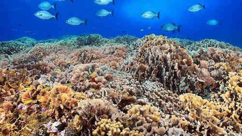 表達生活累的傷感句子(61條) 表達生活累的傷感句子(61條)