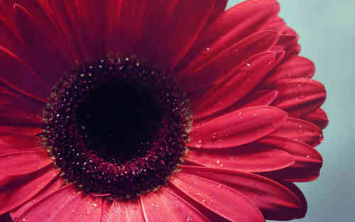 被拋棄的傷感說說(70條) 被拋棄的傷感說說(70條)