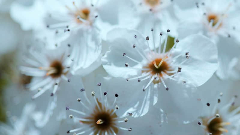 qq女生的傷感說(shuō)說(shuō)(70條) qq女生的傷感說(shuō)說(shuō)(70條)