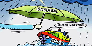 出口信用保險基礎(chǔ)知識