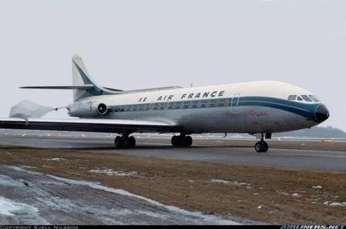 民航,基礎(chǔ)知識(shí),物流