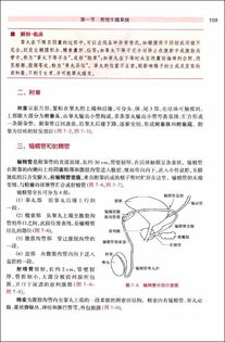 職業(yè)測試人體解剖學基礎知識