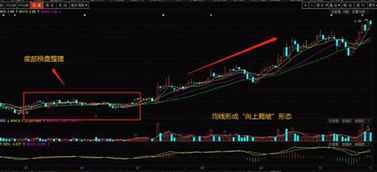股票基礎知識講解,股票講座基礎知識,股票大講堂基礎知識