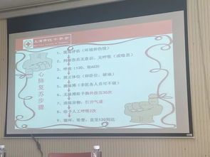 急救,基礎知識,培訓計劃
