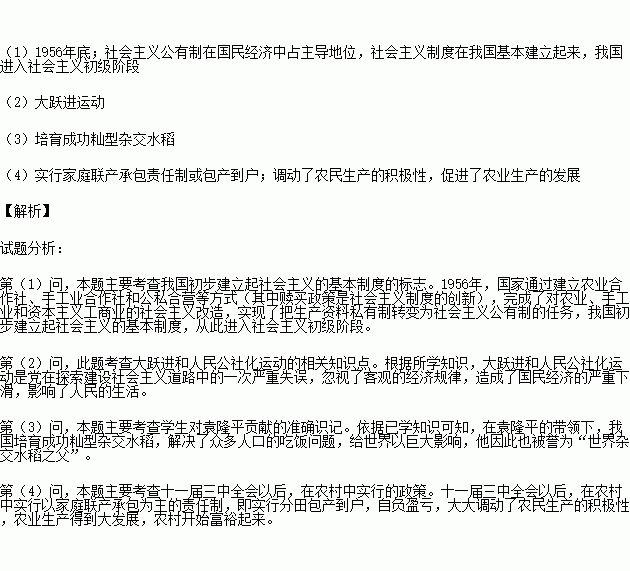 考題,三農(nóng),基礎(chǔ)知識