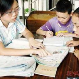 小學(xué)奧語基礎(chǔ)知識(shí)