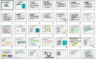 電子商務(wù)基礎(chǔ)知識多選題