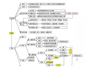 初中函數(shù)基礎(chǔ)知識(shí)思維導(dǎo)圖,物流基礎(chǔ)知識(shí)思維導(dǎo)圖,計(jì)算機(jī)基礎(chǔ)知識(shí)思維導(dǎo)圖