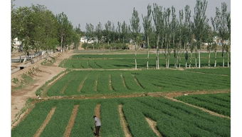 巴東農(nóng)業(yè)基礎知識