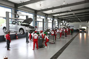 汽修專業(yè)基礎知識資料,汽修的基礎知識,汽修入門基礎知識