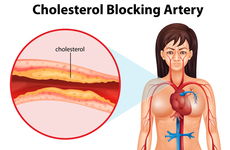 心血管內科基礎知識,股票入門基礎知識音頻,佛學入門基礎知識音頻