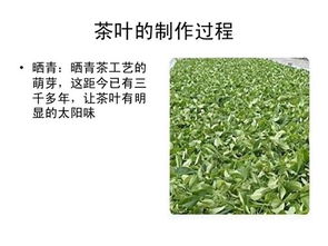 茶葉基礎(chǔ)知識-茶之源