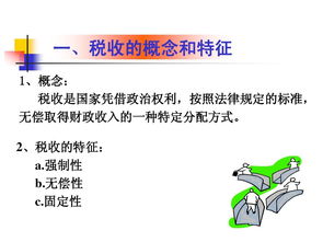 稅收基礎(chǔ)理論知識(shí)ppt