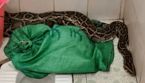 生命體征測(cè)量技術(shù)基礎(chǔ)知識(shí)