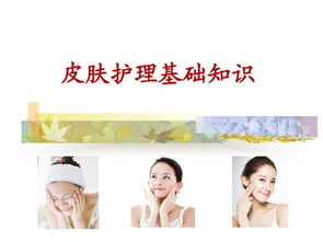 美容皮膚基礎(chǔ)知識(shí)管理