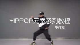 hiphop舞蹈理論知識,hiphop基礎(chǔ)舞蹈教學(xué),hiphop舞蹈歷史文化知識